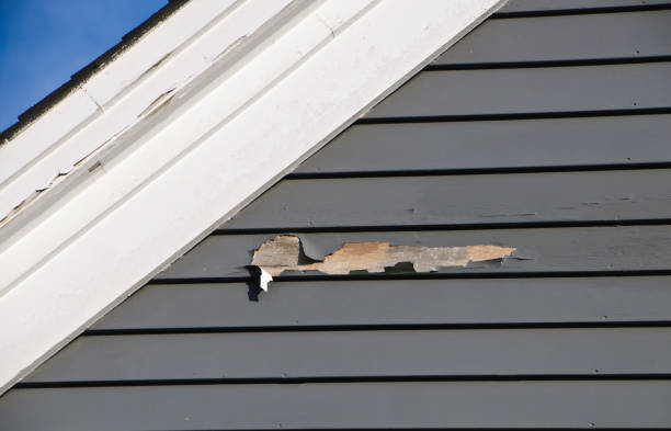 Best Siding Removal and Disposal  in Glen Allen, VA